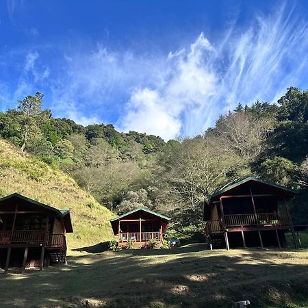 Entre Arboles Lodge San Gerardo de Dota Ngoại thất bức ảnh