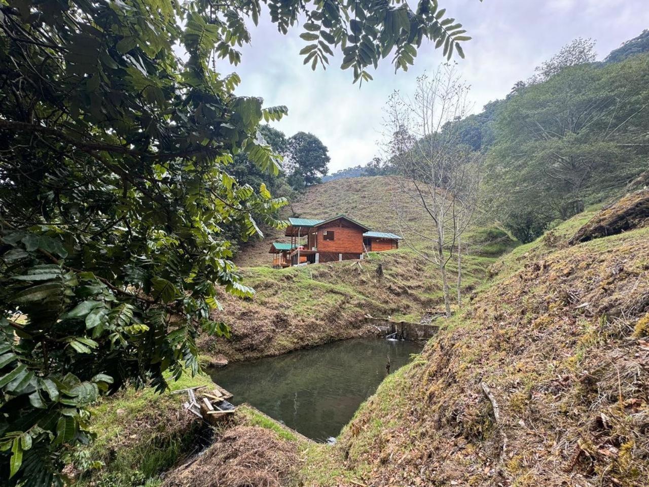 Entre Arboles Lodge San Gerardo de Dota Ngoại thất bức ảnh
