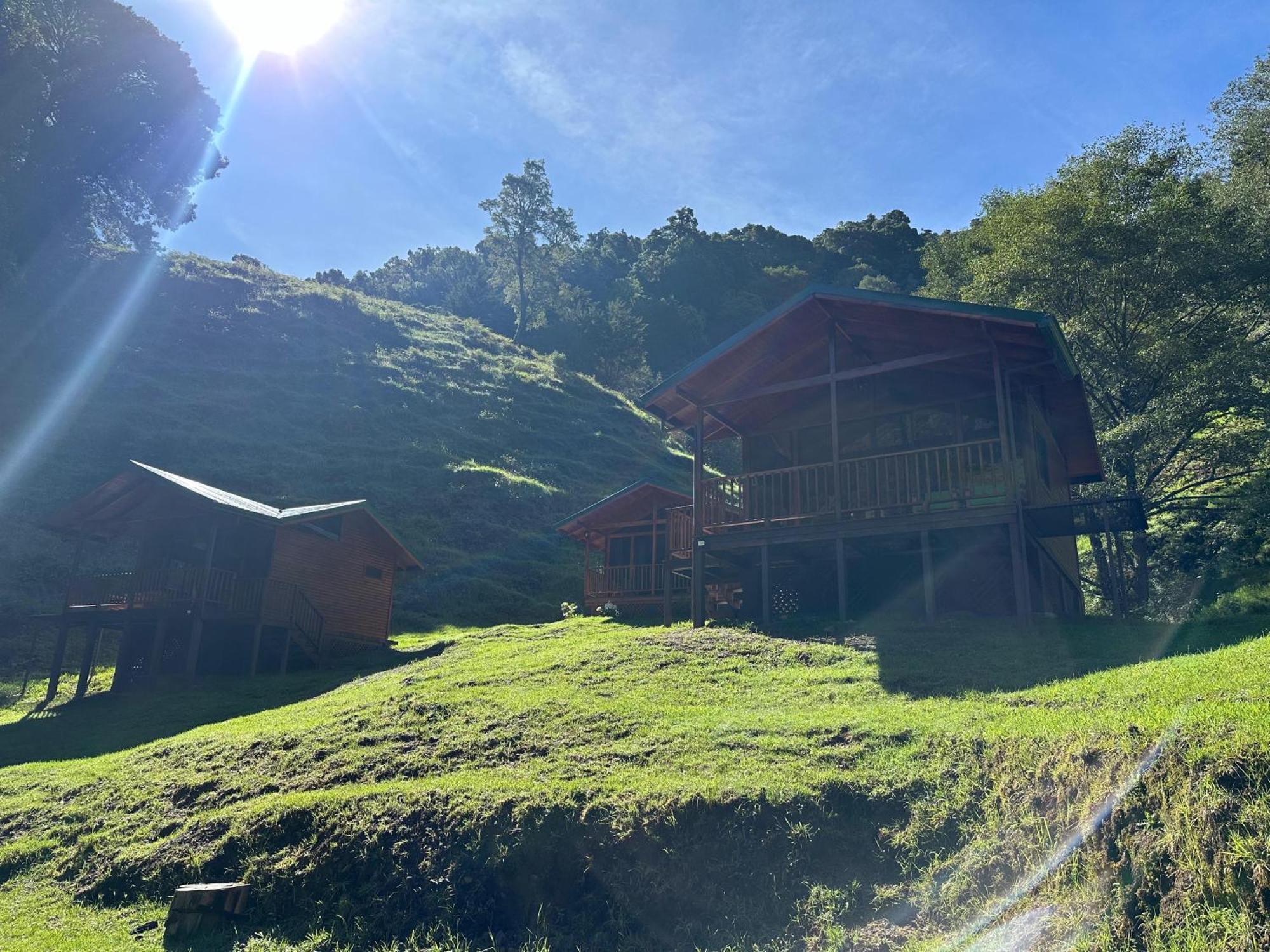 Entre Arboles Lodge San Gerardo de Dota Ngoại thất bức ảnh
