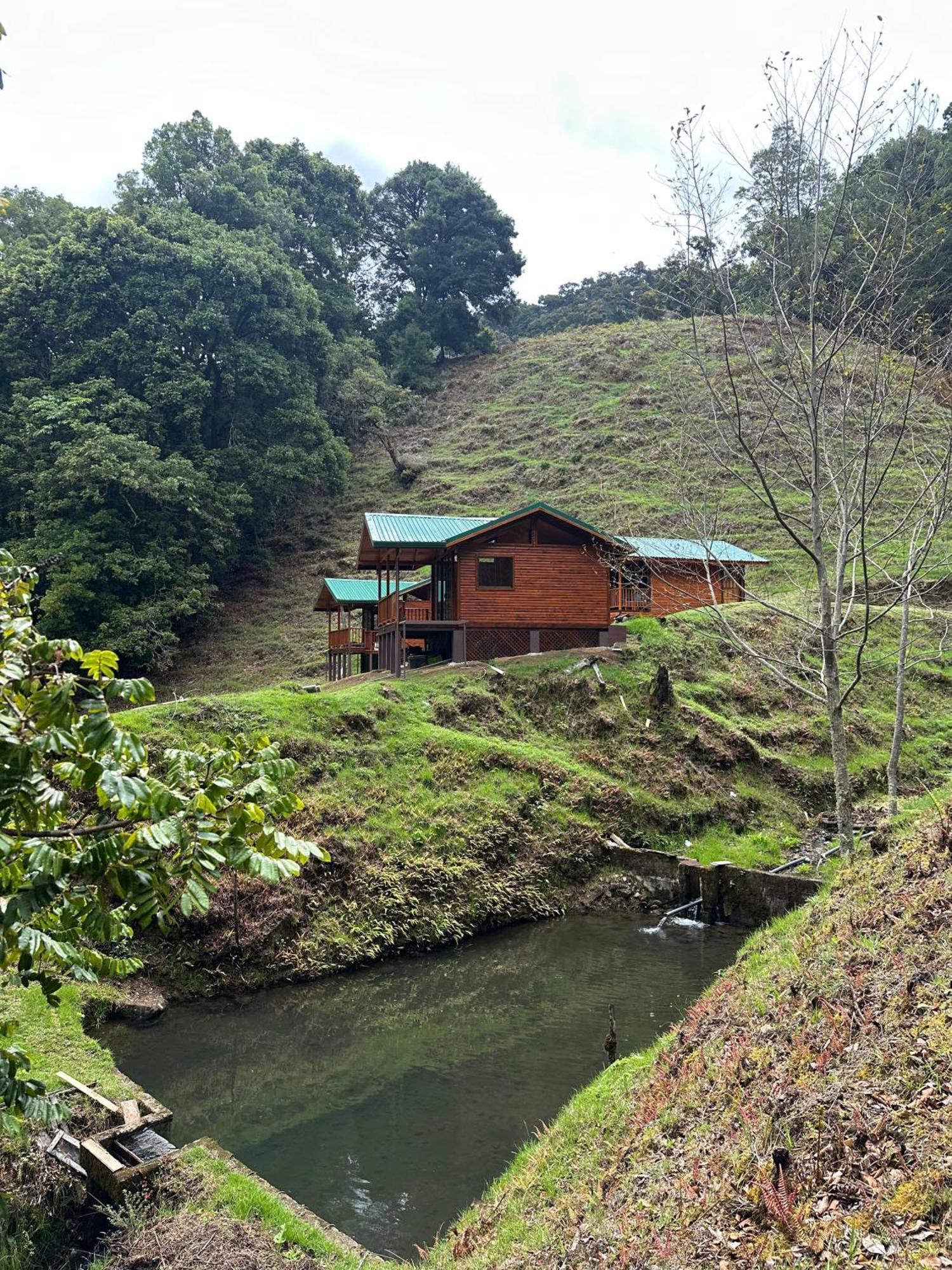 Entre Arboles Lodge San Gerardo de Dota Ngoại thất bức ảnh