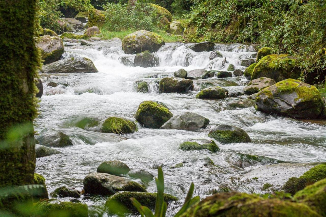 Entre Arboles Lodge San Gerardo de Dota Ngoại thất bức ảnh