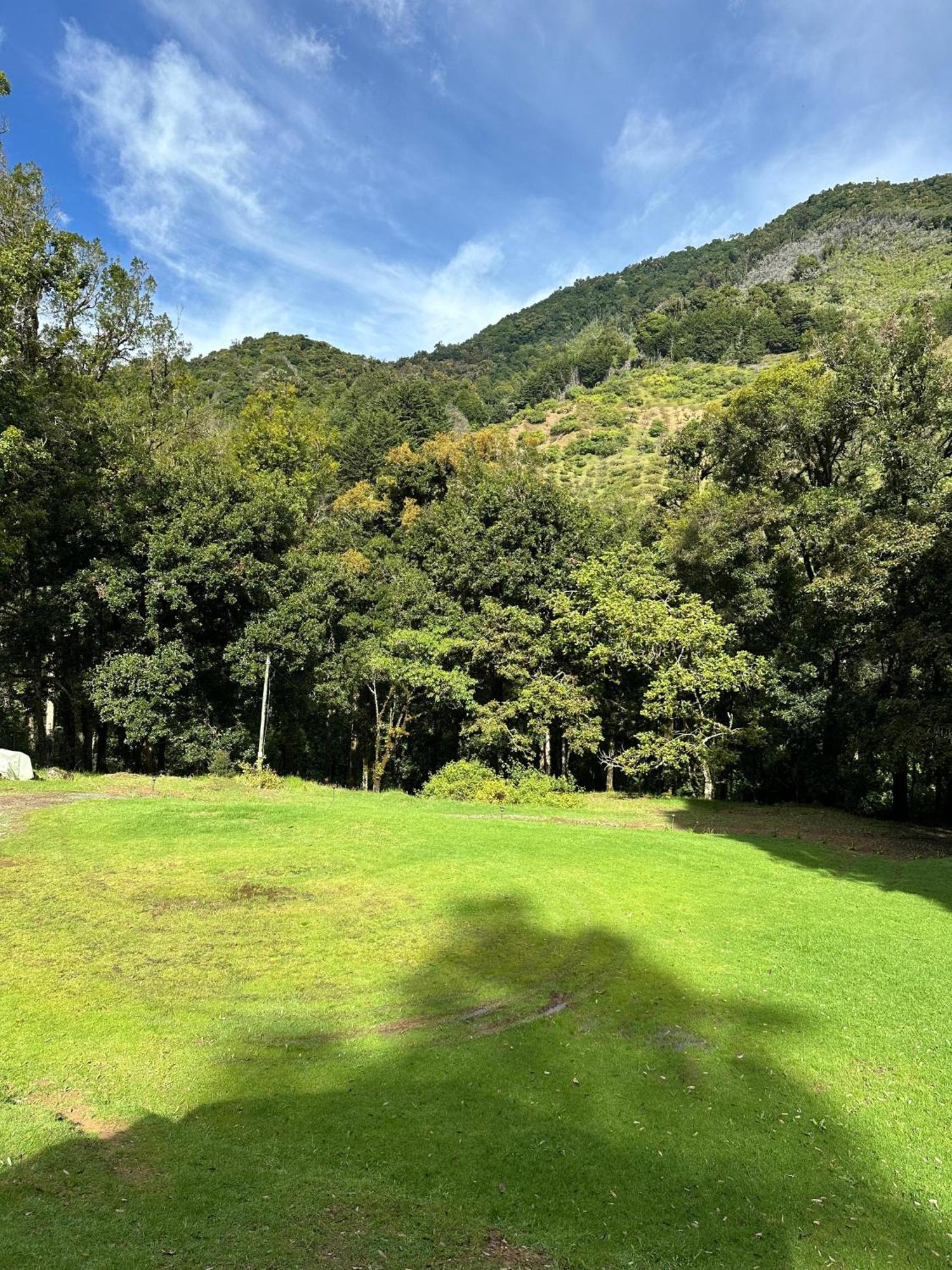 Entre Arboles Lodge San Gerardo de Dota Ngoại thất bức ảnh