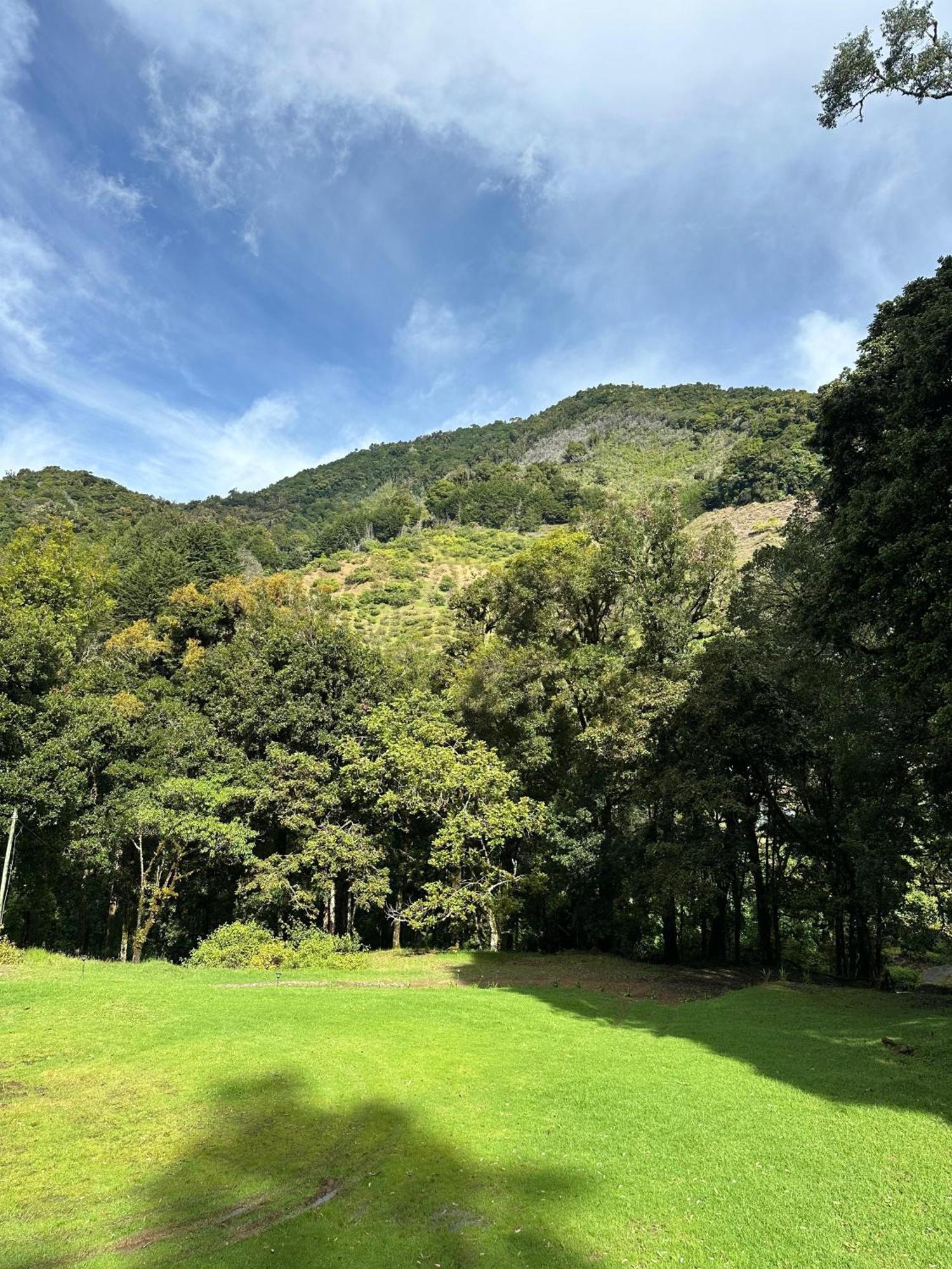 Entre Arboles Lodge San Gerardo de Dota Ngoại thất bức ảnh