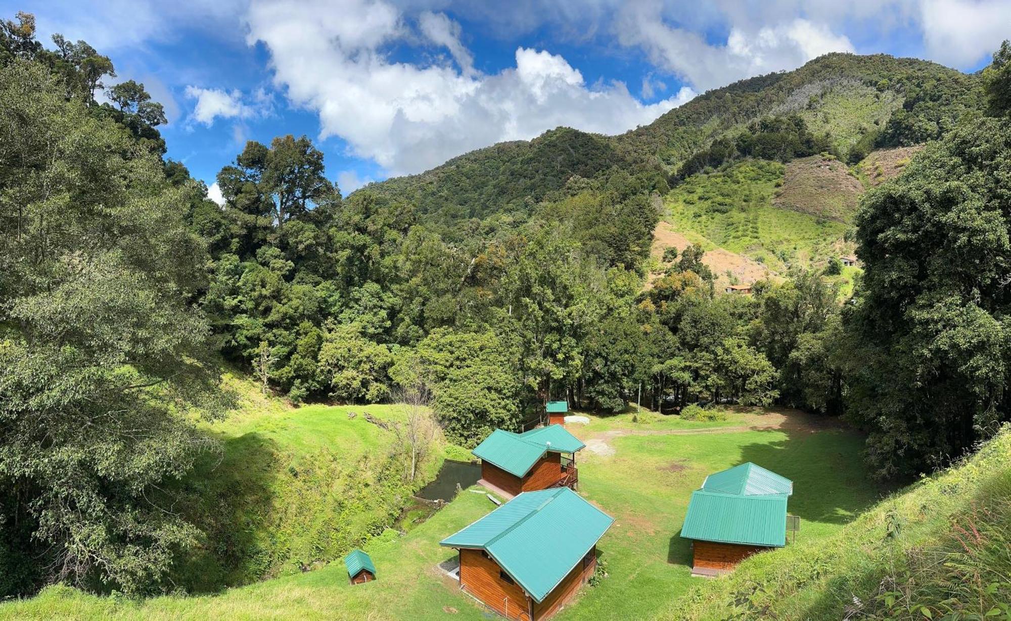 Entre Arboles Lodge San Gerardo de Dota Ngoại thất bức ảnh
