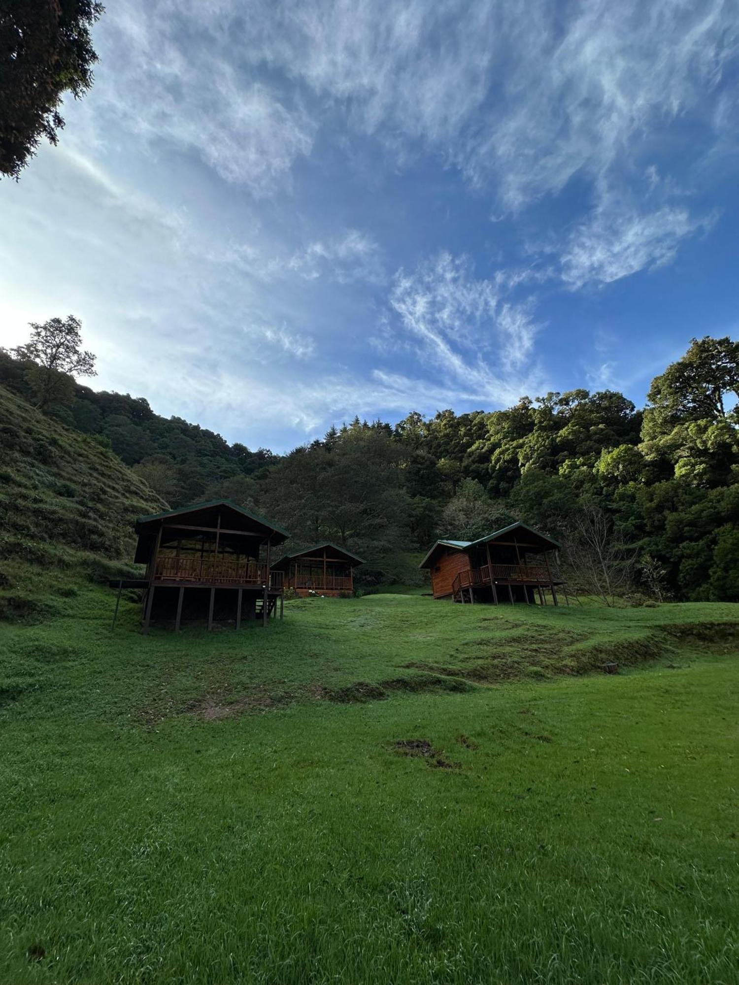 Entre Arboles Lodge San Gerardo de Dota Ngoại thất bức ảnh