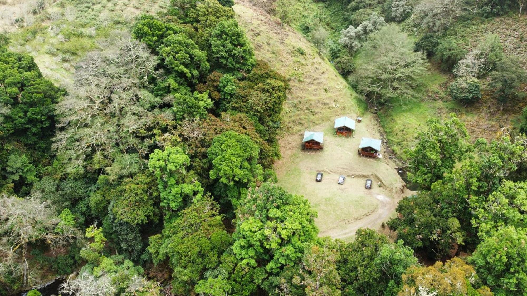 Entre Arboles Lodge San Gerardo de Dota Ngoại thất bức ảnh