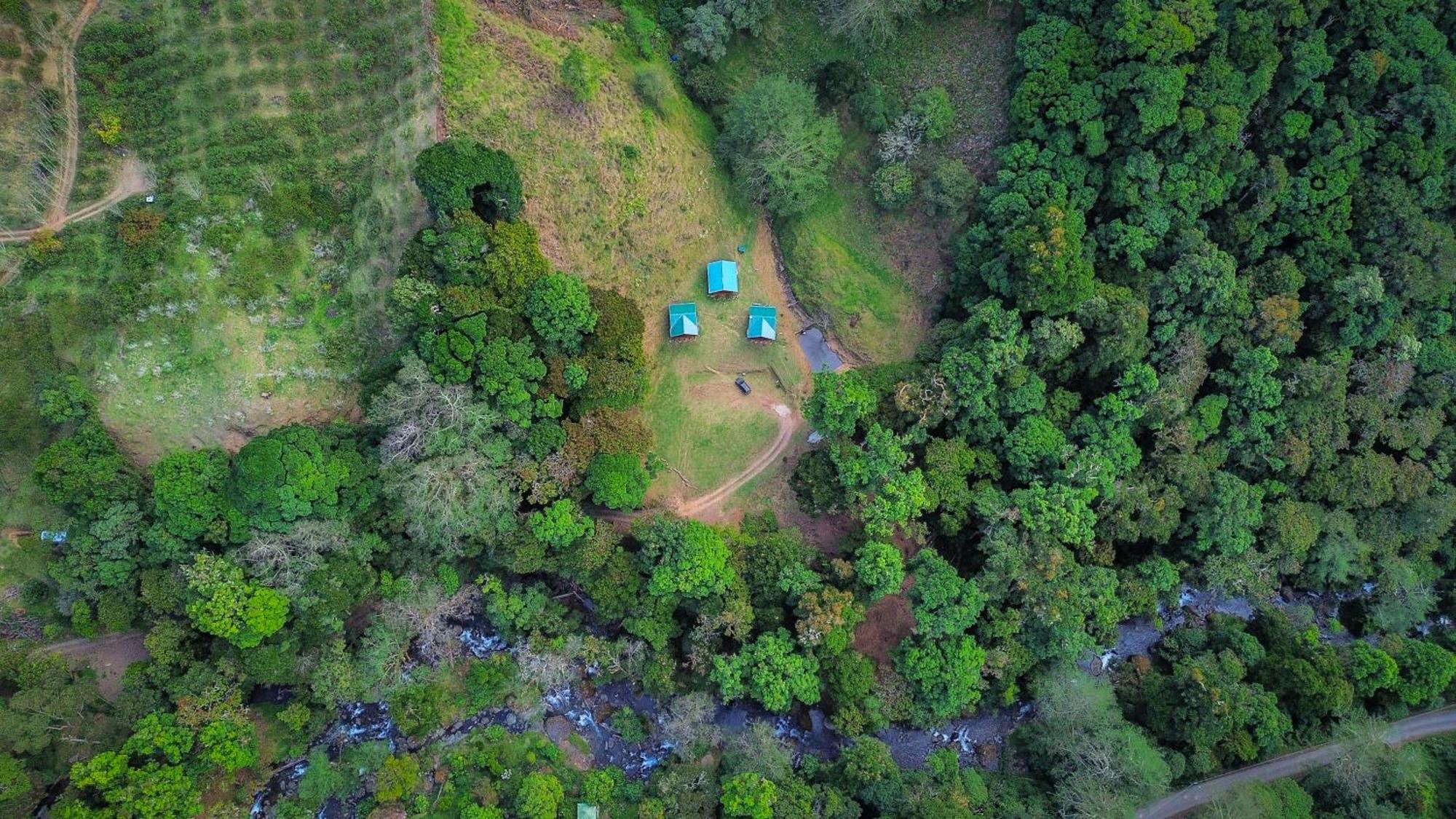 Entre Arboles Lodge San Gerardo de Dota Ngoại thất bức ảnh