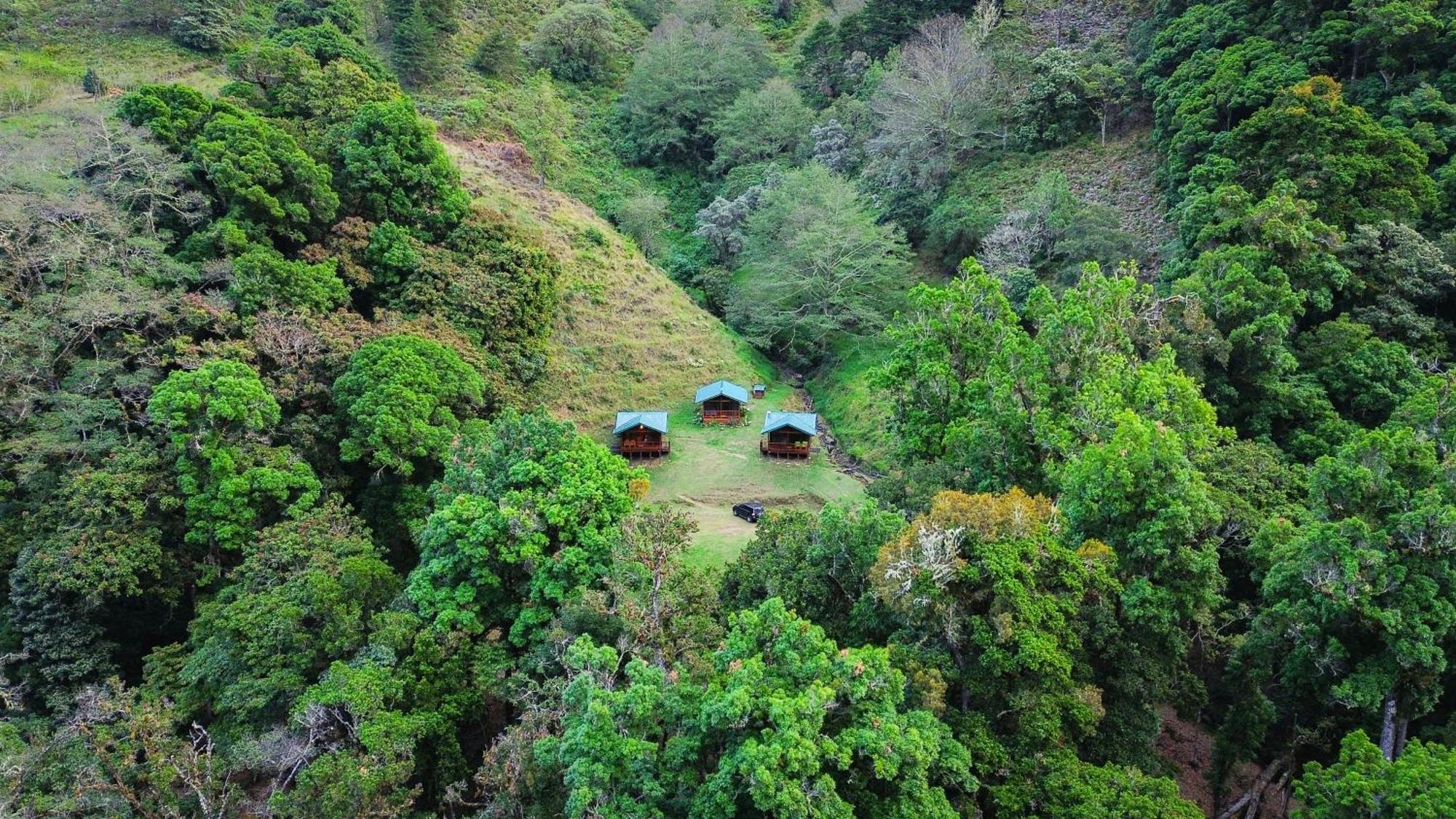 Entre Arboles Lodge San Gerardo de Dota Ngoại thất bức ảnh