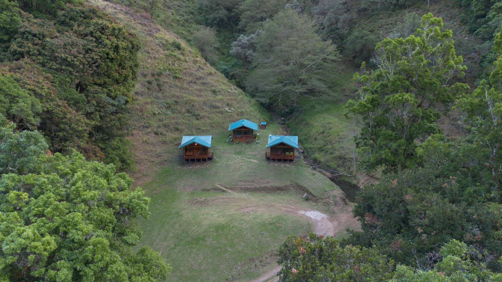 Entre Arboles Lodge San Gerardo de Dota Ngoại thất bức ảnh