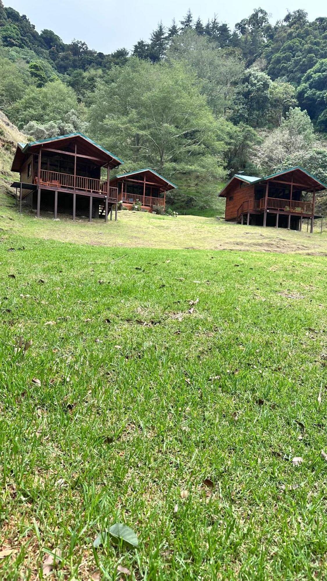 Entre Arboles Lodge San Gerardo de Dota Ngoại thất bức ảnh