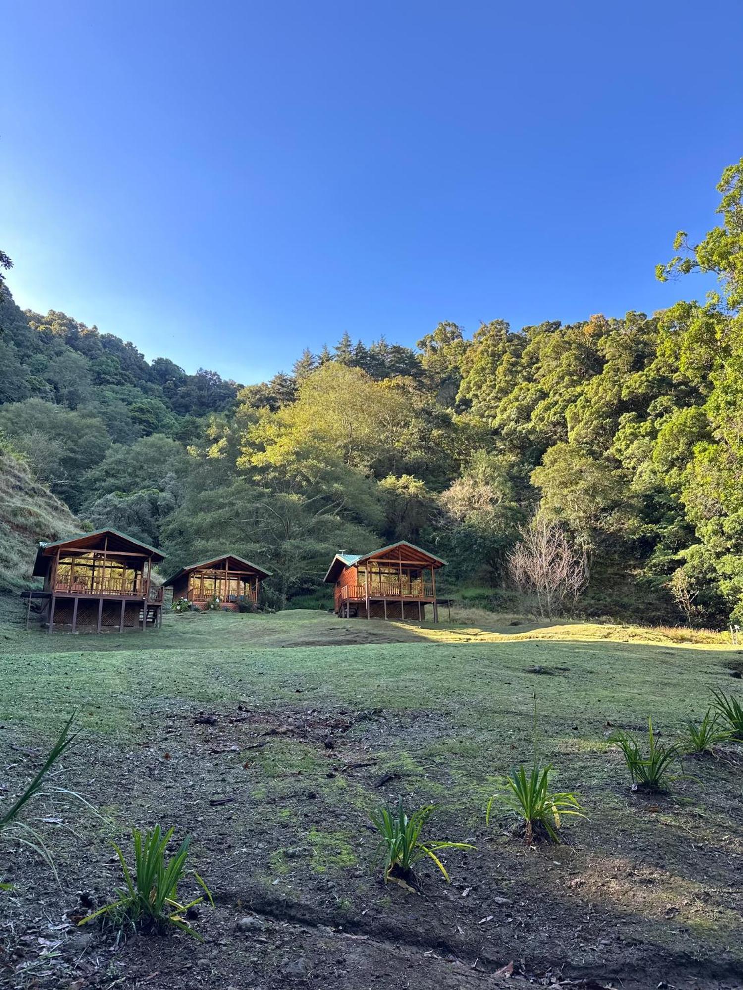 Entre Arboles Lodge San Gerardo de Dota Ngoại thất bức ảnh