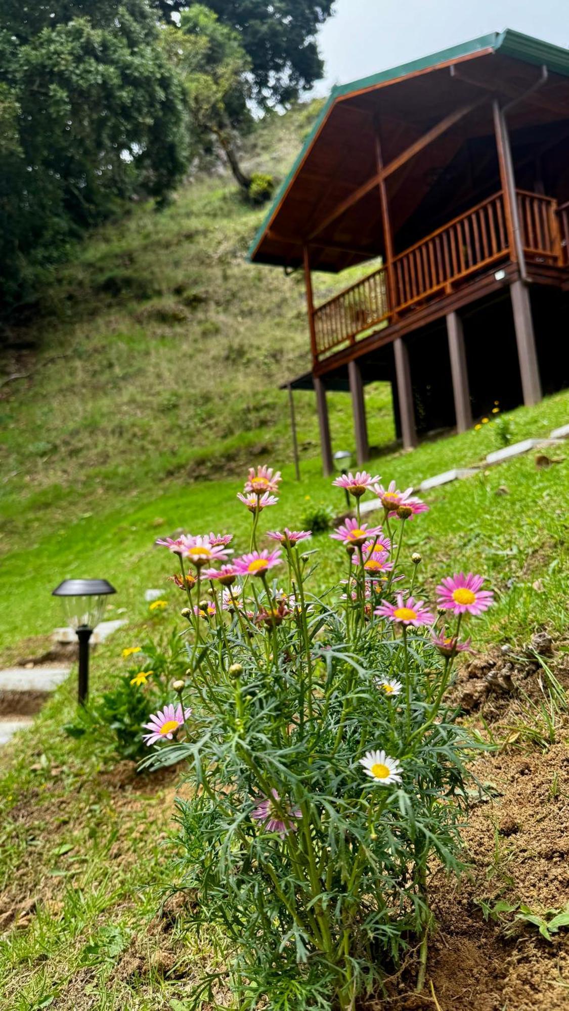 Entre Arboles Lodge San Gerardo de Dota Ngoại thất bức ảnh