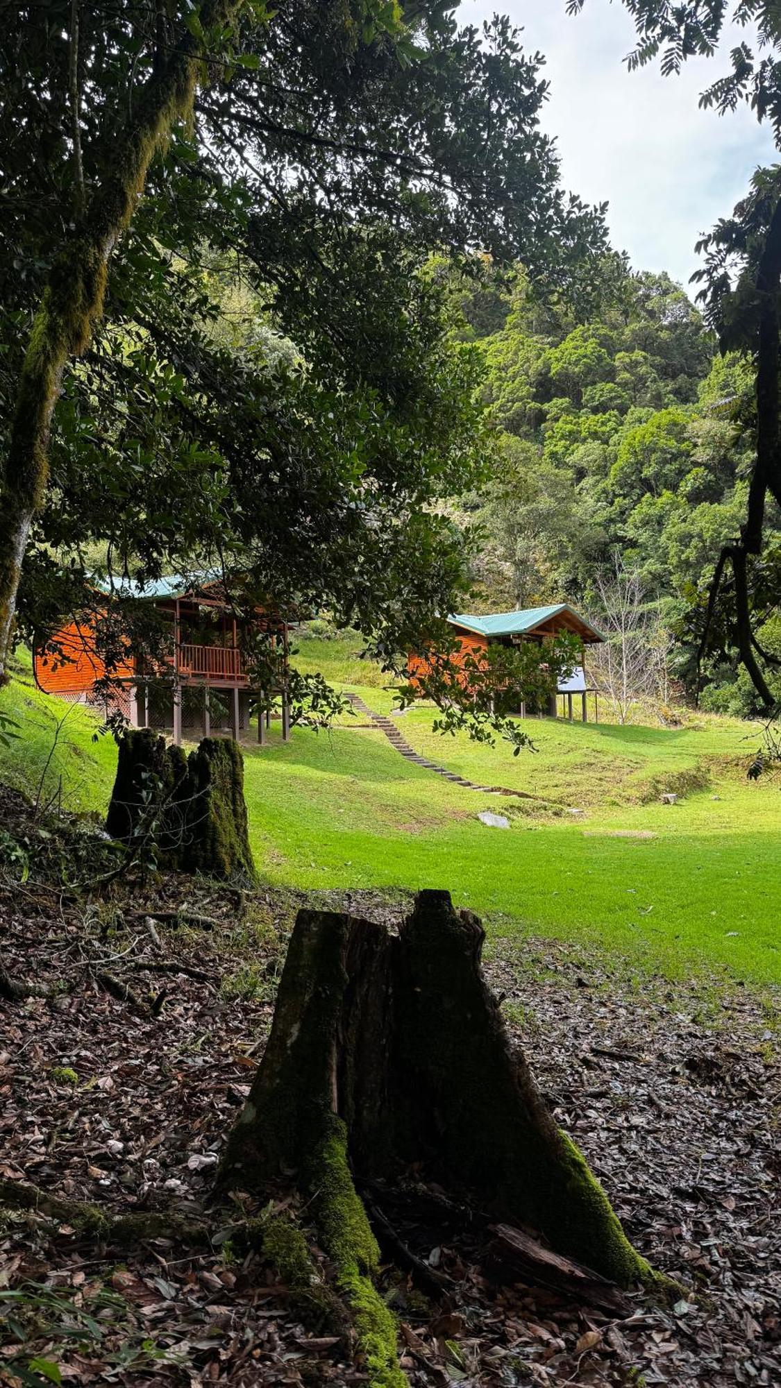 Entre Arboles Lodge San Gerardo de Dota Ngoại thất bức ảnh