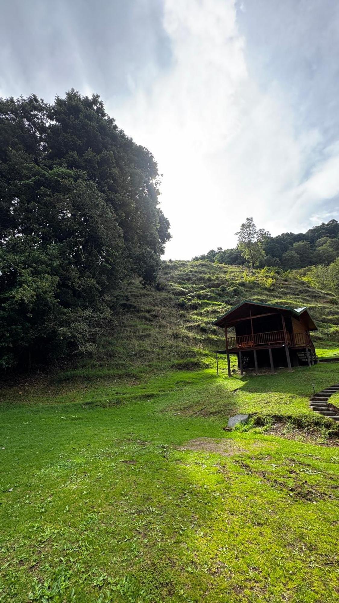 Entre Arboles Lodge San Gerardo de Dota Ngoại thất bức ảnh